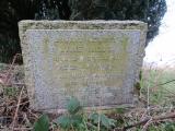 image of grave number 968251
